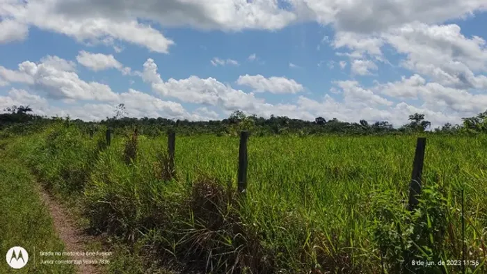 75 hectares em concórdia do Pará por 500 mil reais