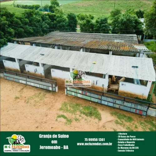 Granja de Suíno à Venda em Jeremoabo - BA | 1 Hectare 20 | Baías de Porco