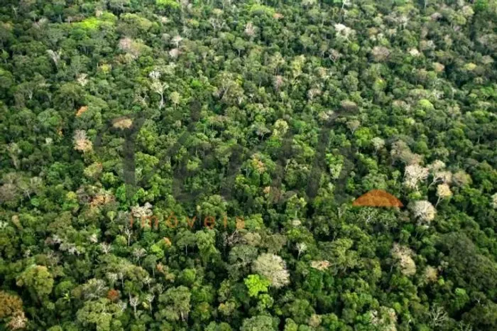 fazenda - Centro - Itamarati
