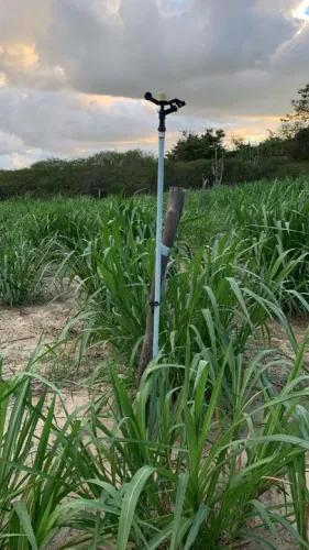 Área rural para venda em Vitória da Conquista - Bahia