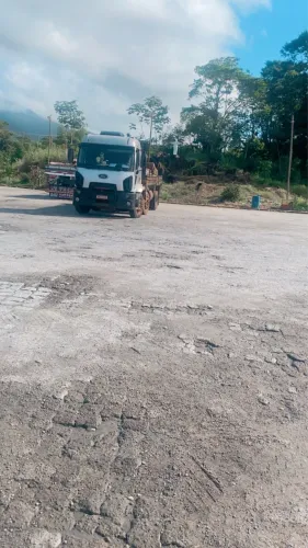 Ford cargo 2428