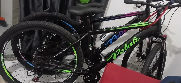 Bicicleta polar verde