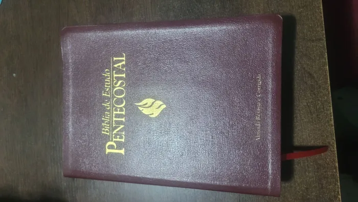 Biblia de estudo Pentecostal grandel edição 1995