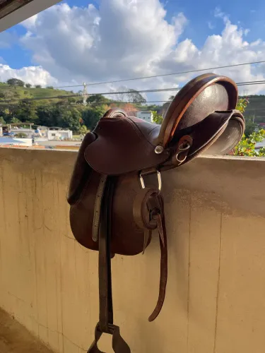 Sela MM cavalo rei