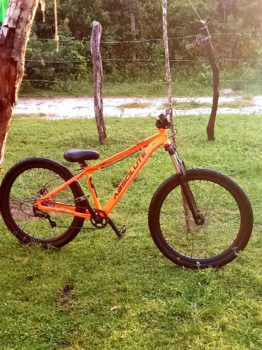 Bicicleta