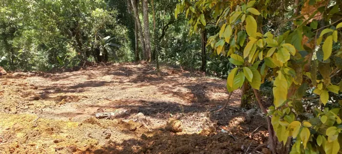 Chacara $40mil A VISTA..Itariri SP