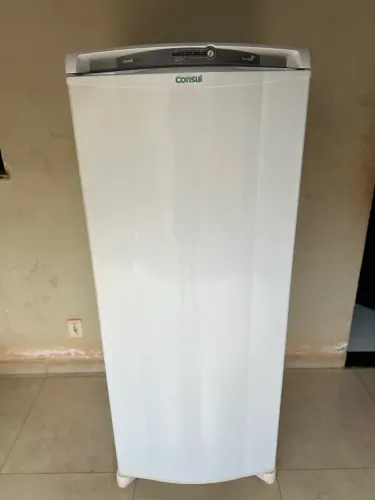 Geladeira Consul Facile Frost Free 300L