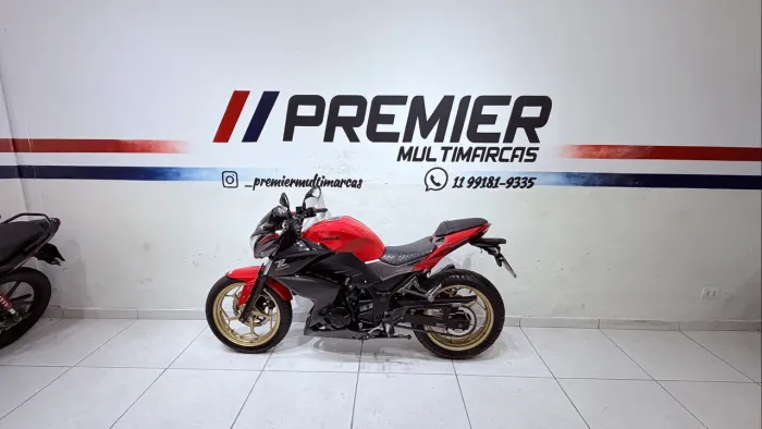 Kawasaki Z 300