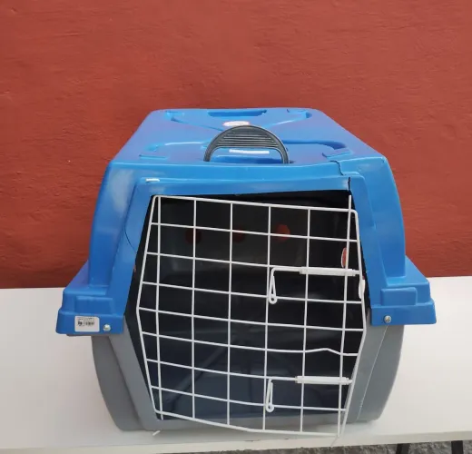 Caixa de Transporte para Cães