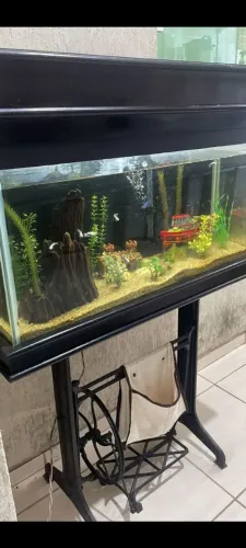 Aquário grande e completo 