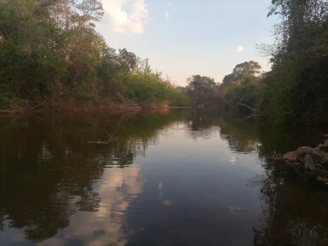 Fazenda riquissima em agua. Pastos todos recem formados.