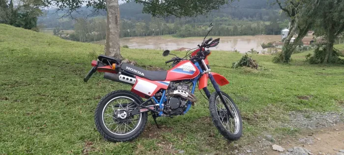 XLX 250R