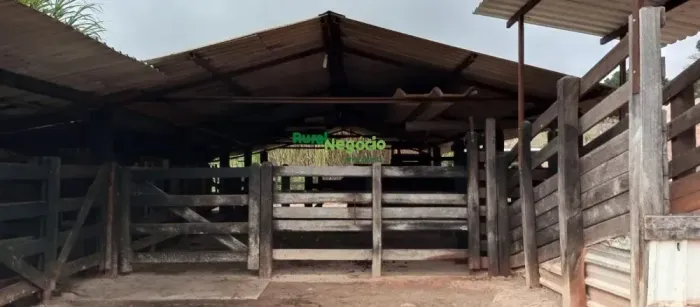 SÍTIO FORMADO COM ESTRUTURA PARA LEITE E CORTE EM LORENA-SP