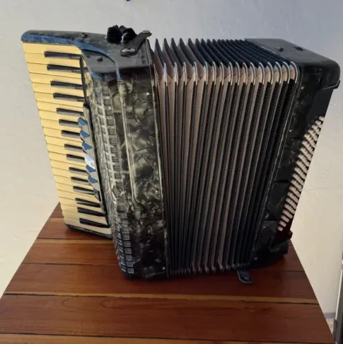 Acordeon Michael 80 Baixos com Case e Alças