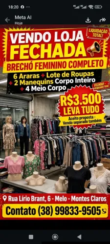 Lote de roupas com araras e maniquins