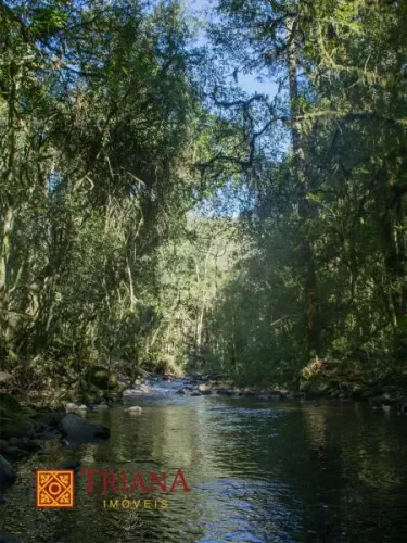 TERRENO RURAL DE 60 HECTARES CERCADO DE MATA NATIVA EM RIO RUFINO/SC