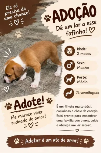 Para adoação