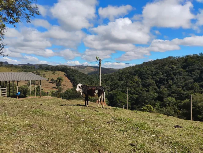 Terreno 20.000 m em Caeté.