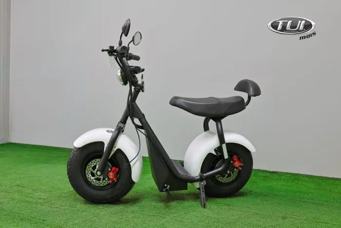 Scooter elétrica 1000w