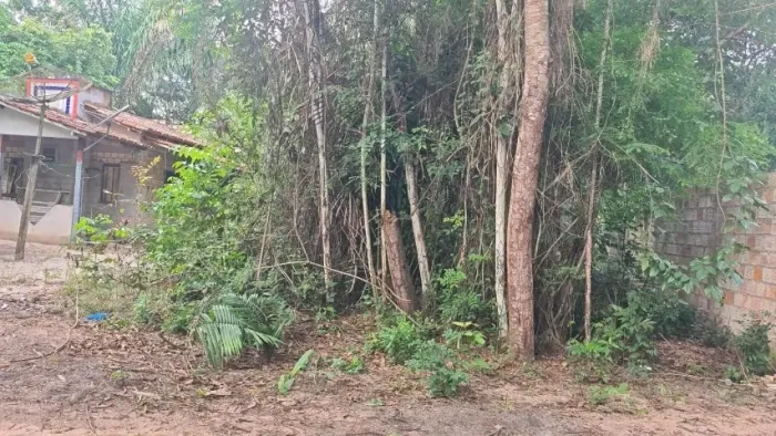 Vende -se terreno em alter do chão 8minutos do centrinho