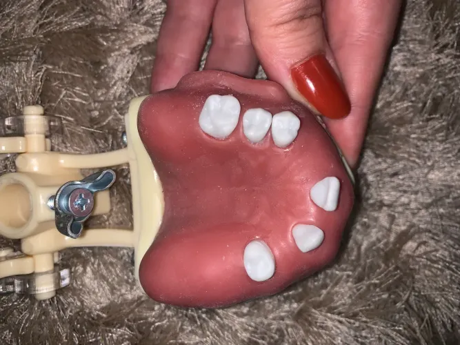 Manequim odontológico cirurgia