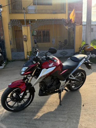 Twister 300 F flex