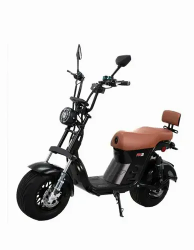 Bicicleta elétrica