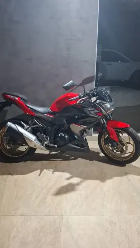 Kawasaki Z300