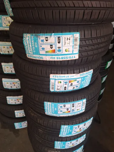 PNEU BYD DILPHIN 175/55/16