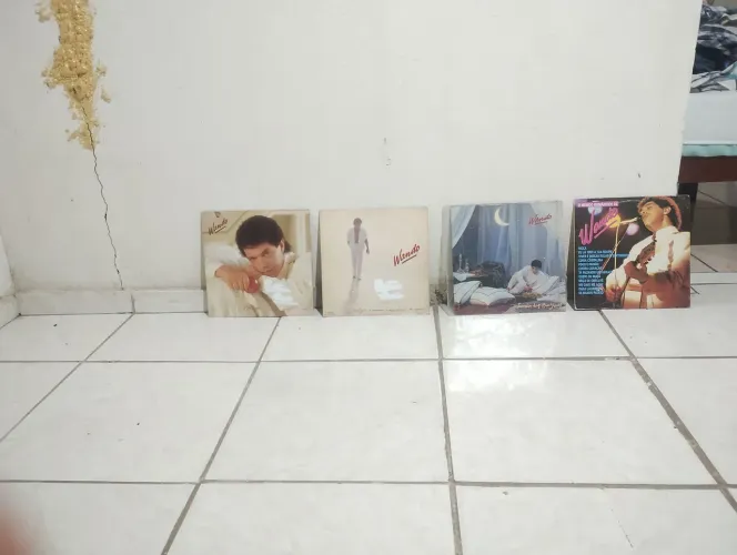 Discos de Vinil Wando