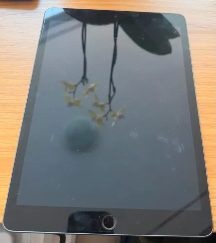 iPad 9ª Geração 64 GB Cinza Espacial - Muito conservado