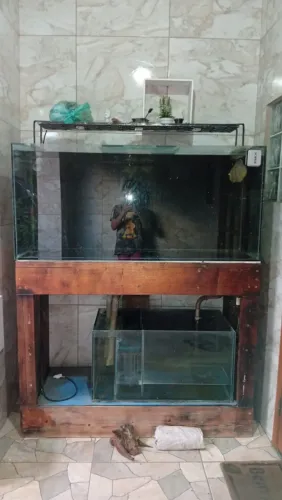 Aquário com móvel e sump
