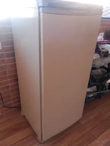 Freezer Eletrolux 