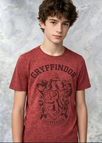 Camiseta Grifinoria Harry Potter pp