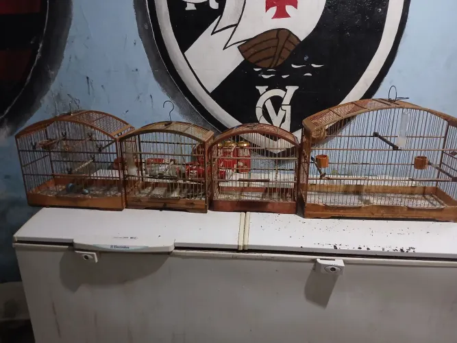 Quatro gaiolas usadas