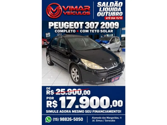 Peugeot 307 Soleil/ Presence 1.6/1.6 Flex 16V 5P 2009
