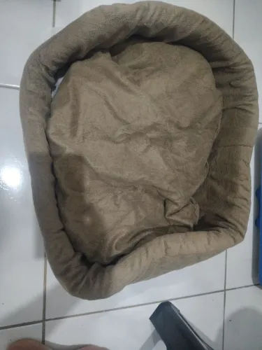 Caminha para dog