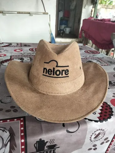 Chapéu cowboy