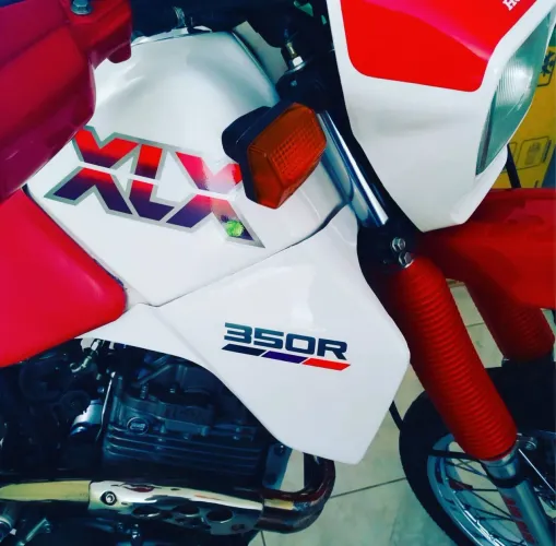 Vendo esta relíquia