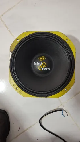 Médio eros de 10 polegadas