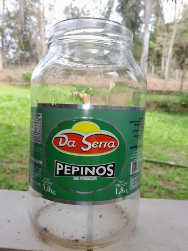 Vidros de conservas grandes 