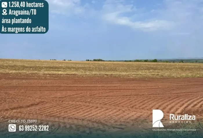 FAZENDA 1.258 HA | 550 HA PLANTANDO | 230 HA PARA EXPANSÃO | USINA SOLAR