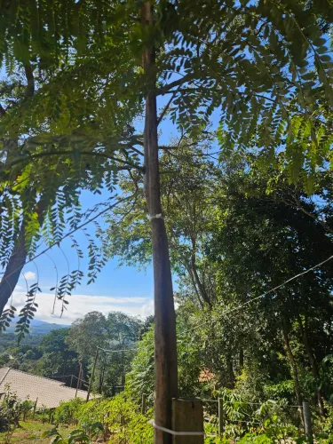 VENDO CHÁCARA C/ VISTA MARAVILHOSA