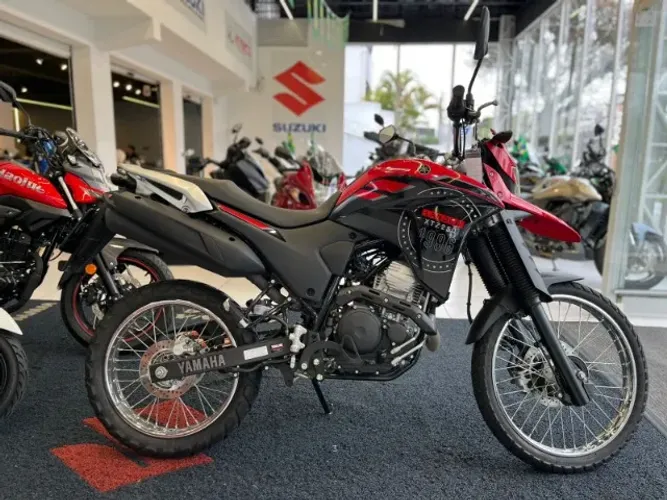 Yamaha / XTZ Lander 250 blue 