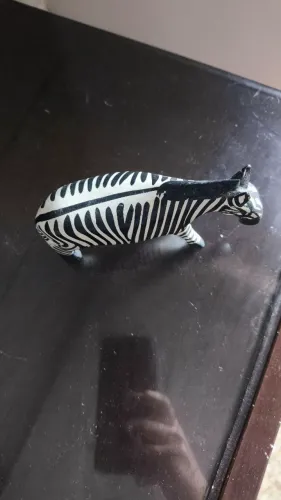 Zebra da África 
