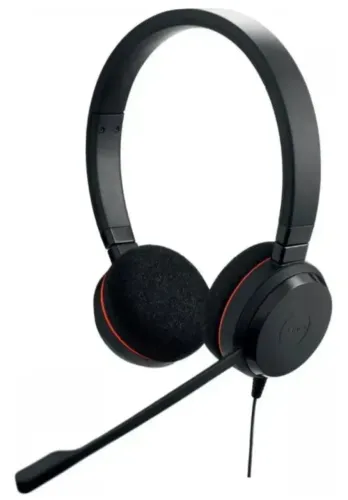 Jabra Evolve 20, Usb C, Stereo Ms 4999-823-189