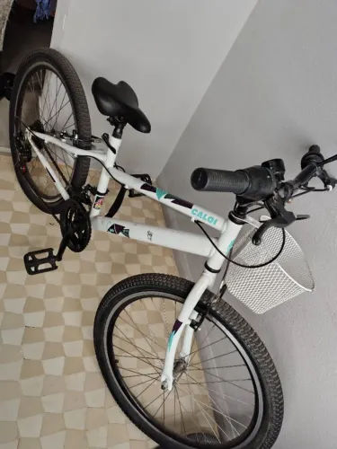 Bicicleta Ceci Aro 24