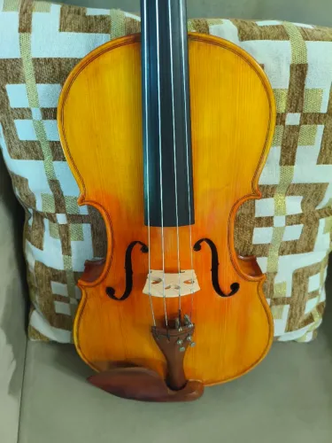 Viola