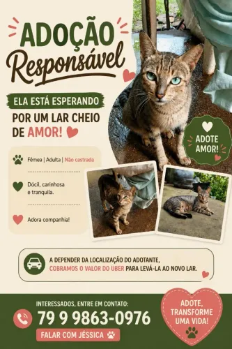 Gata para Adoção Responsável 