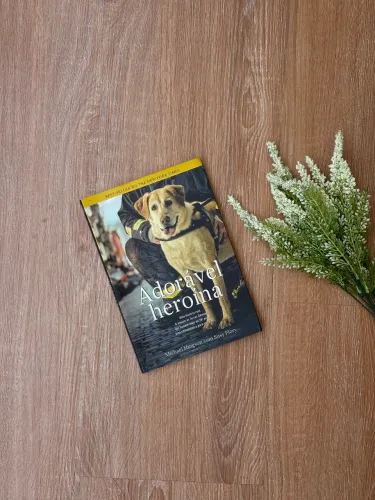 Livro: Adorável Heroína